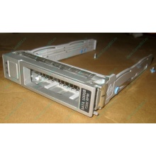 Салазки Sun 350-1386-04 в Таганроге, 330-5120-04 1 для HDD (Таганрог)