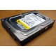 Жесткий диск 160Gb WD WD1602ABKS SATA (Таганрог)