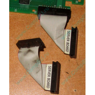 6017B0045701 Шлейф 24 pin для Intel C74974-401 T0043401-B01 корпуса SR2400 (Таганрог)
