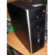 БУ компьютер HP Compaq Elite 8300 (Intel Core i3-3220 (2x3.3GHz HT) /4Gb /250Gb /ATX 320W) - Таганрог